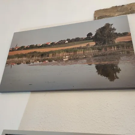 Bed & Breakfast Flopre