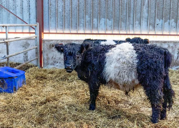 Flopre ベッド・アンド・ブレックファスト 3*