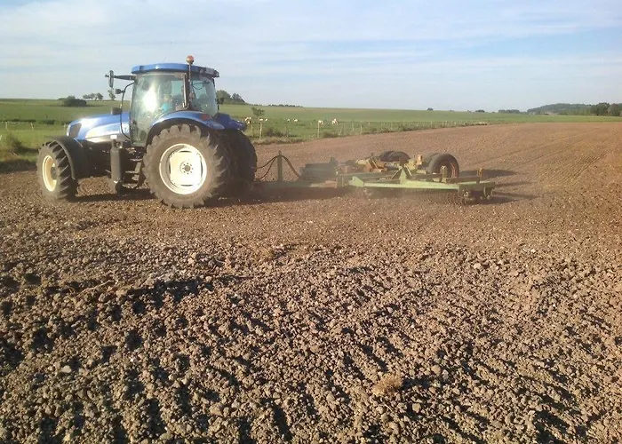 ベッド・アンド・ブレックファスト Flopre 3*