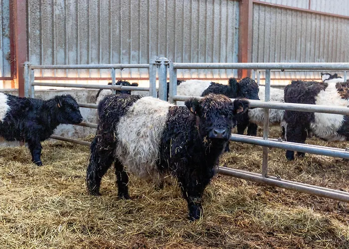 ベッド・アンド・ブレックファスト Flopre Flocourt